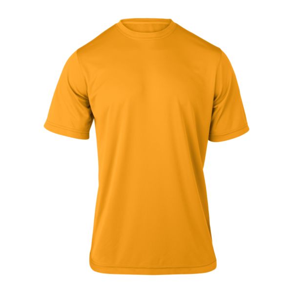 Men's Performance Short Sleeve Shirt