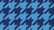 Boombah Custom Luggage Pattern