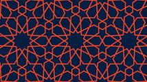 Boombah Custom Luggage Pattern
