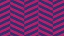 Boombah Custom Luggage Pattern