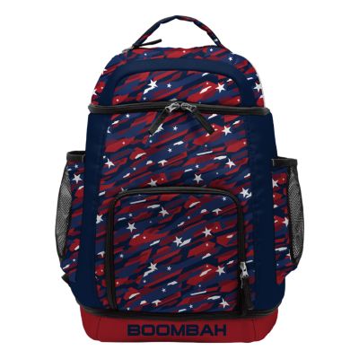 swish navy luggage price