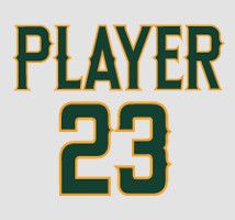 Boombah Full Dye Names and Number Set 1039